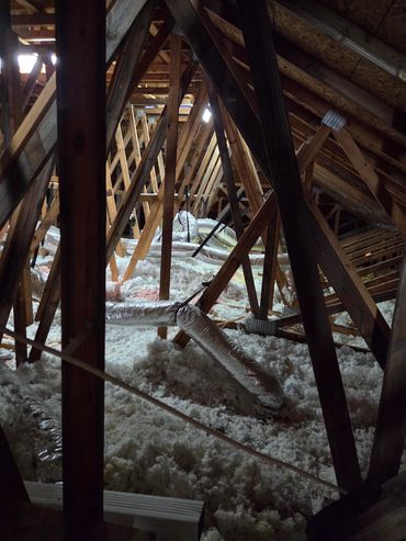 Attic inspection for rats, racoons, squirrels and bats