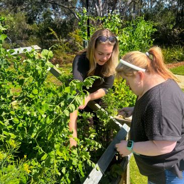 Two women gardening together in a sunny outdoor garden.