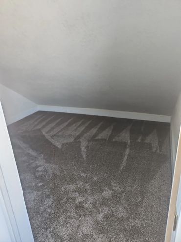 new carpet