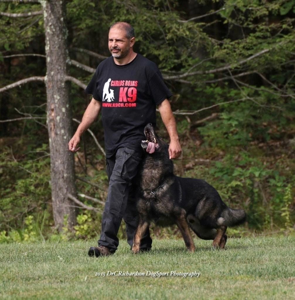 Carlos Rojas K9