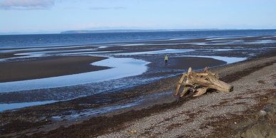view of the beach in semiahmoo