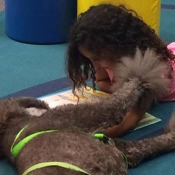 paws of love therapy dogs