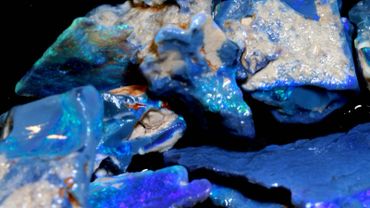 Close-up of vibrant blue opal stones with iridescent flashes.