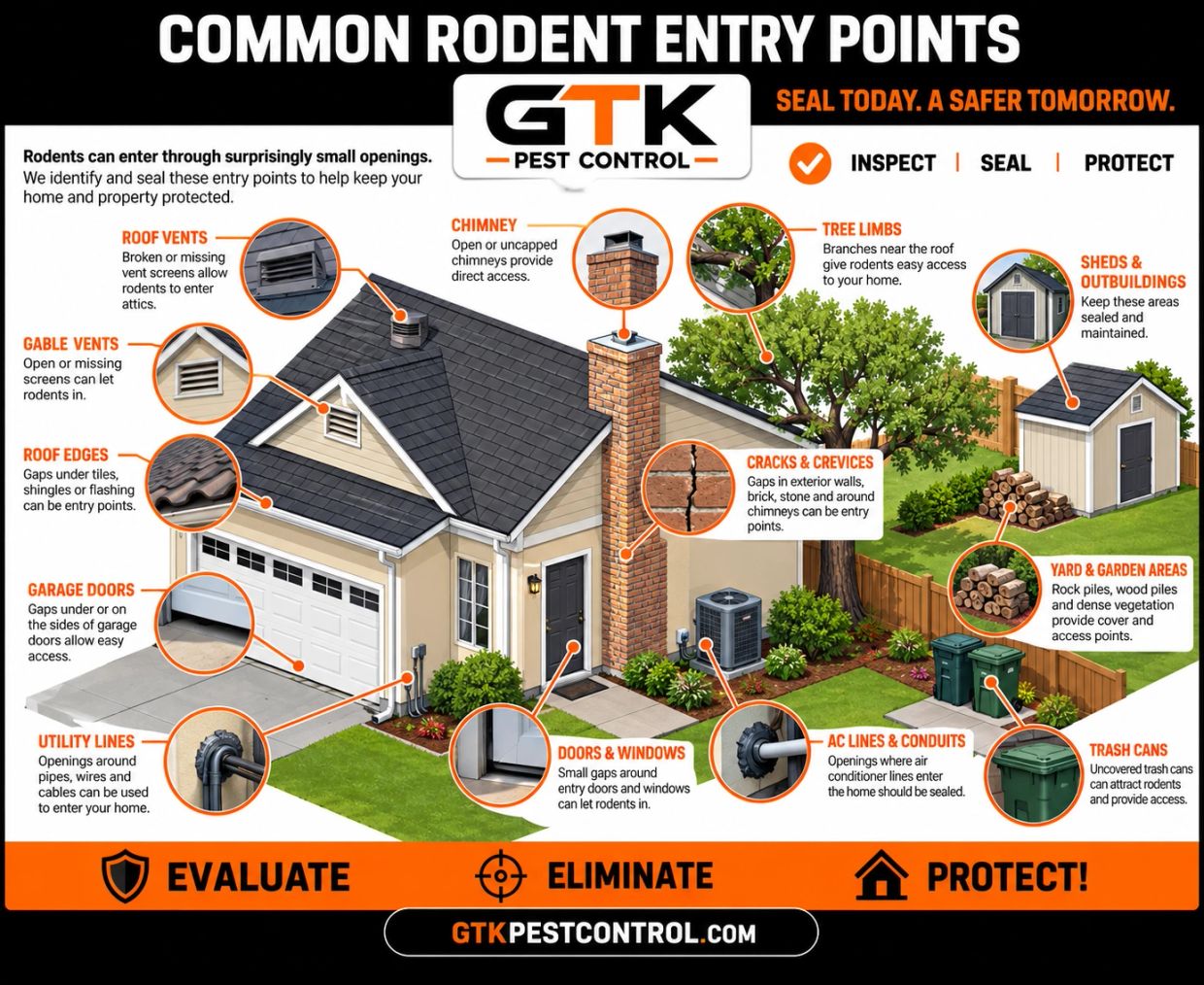 rodent program