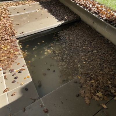 Oak leaves and silt settled on the steps and floor of a Prosper TX backyard pool