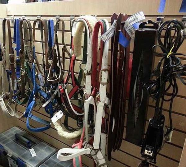 Halters and Clippers