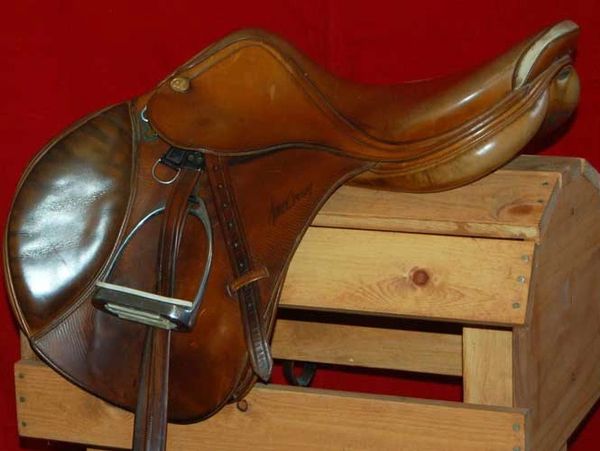 Jump Saddle