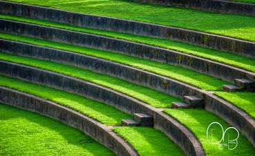 Fine Art Photography Print of sunlight leading down steps of an outdoor amphitheater grass seating