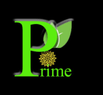 Prime Solar