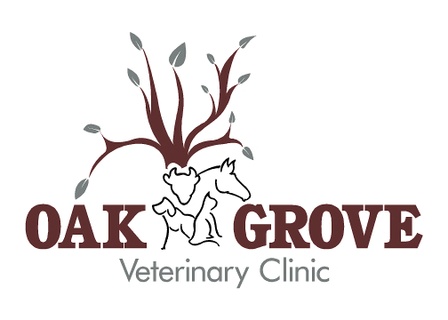 Oak Grove Vet Clinic
