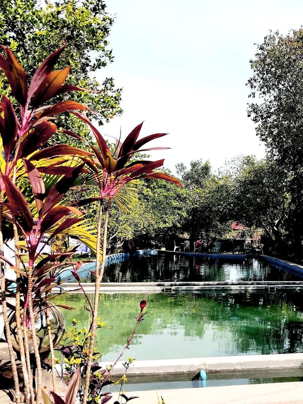 Bohemiaz resort in Kampot has a natural swimming pool and a traditional chlorine swimming pool
