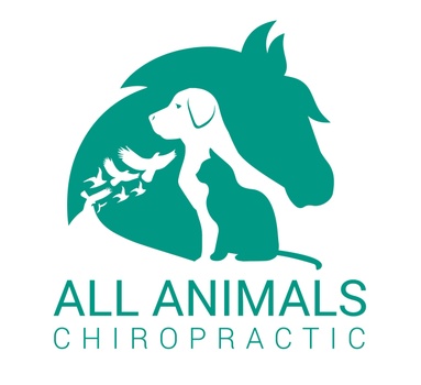All Animals Chiropractic