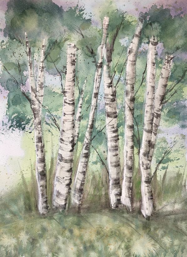 Watercolor painting of birch trees with green foliage.