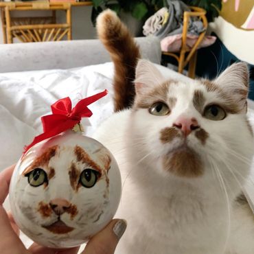 Green eyed cat next to personalised pet portrait Christmas Bauble with red ribbon.