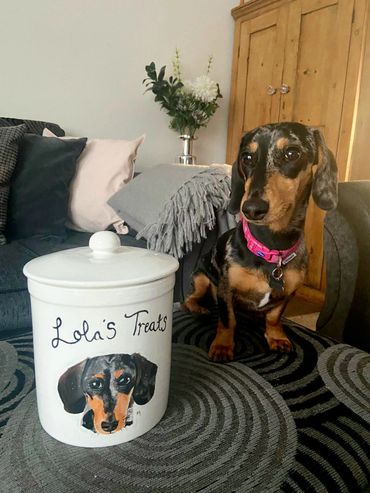 Dachshund Sausage Dog with pink collar posing next to personalised treat jar saying 'Lola's Treats'