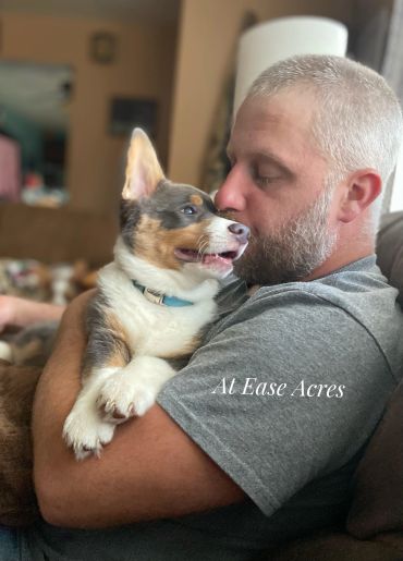 Man cuddling a happy dog indoors.