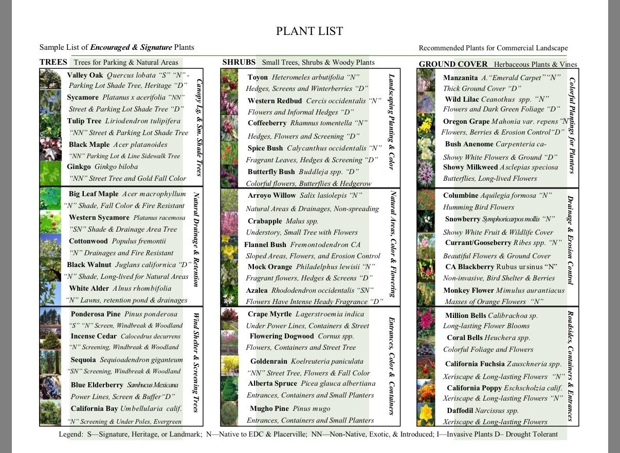Plant list of trees, shrubs, and ground cover for commercial landscaping.