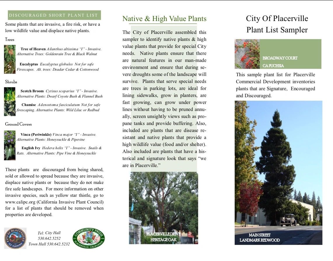Plant list sampler for Placerville identifying native, invasive, and high-value plants.