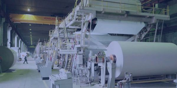 IMRA Nearshoring | Industries | Paper & Packing