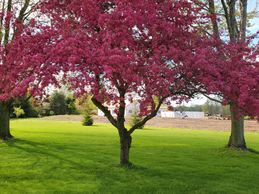 property maintenance