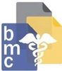 BMC LLC GROUP