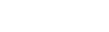 CCN Consulting