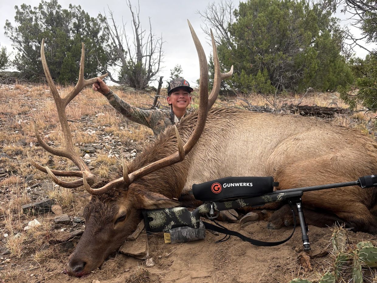 Young hunter posing with a large elk and rifle in the wilderness.
