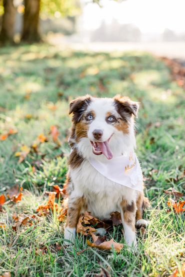 Wedding venue, Eugene, Oregon, Whitewater Weddings, Forest Wedding, Elopement