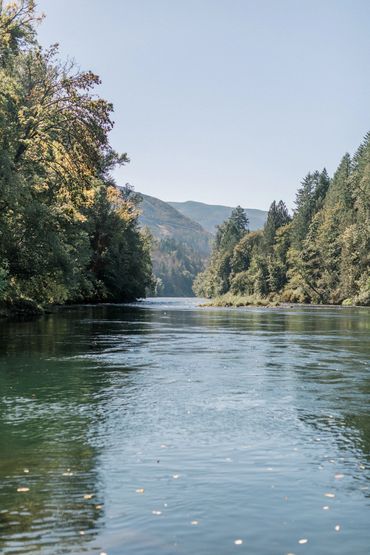 Wedding venue, Eugene, Oregon, Whitewater Weddings, Forest Wedding, Elopement