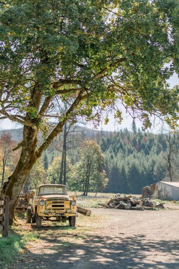 Wedding venue, Eugene, Oregon, Whitewater Weddings, Forest Wedding, Elopement