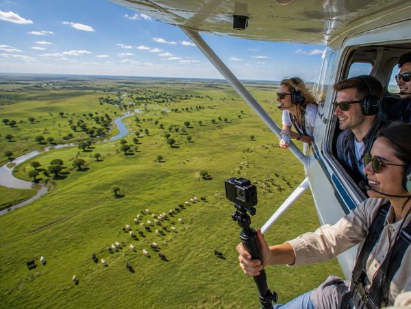 Group on a small plane enjoying aerial wildlife views.