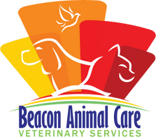 Beacon Animal Care