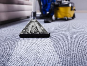 Professional carpet cleaning services. 
