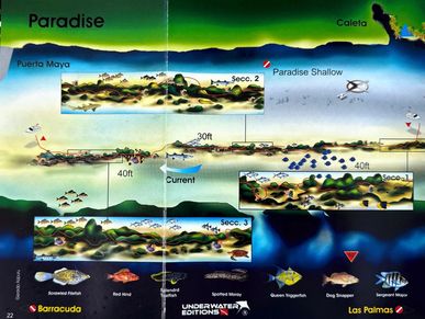 Paradise Reef Map