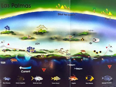Las Palmas Dive Map