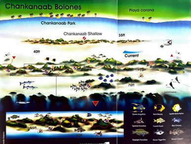 Chankanaab Bolones Dive Map