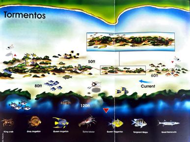 Tormentos Reef Dive Map