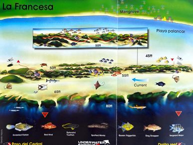 La Francesa Dive Map