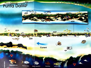 Punts Dalila Dive Map