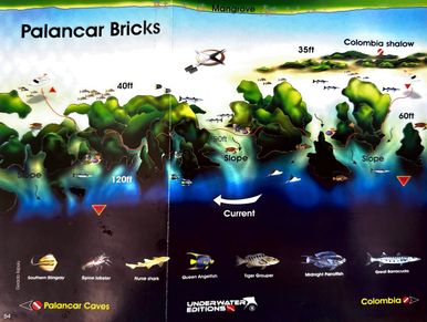 Palancar Bricks Dive Map