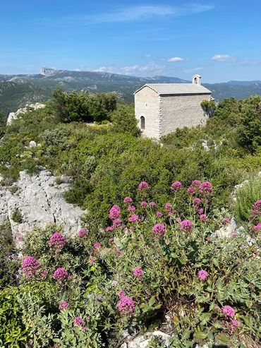 Urlaub in Südfrankreich Blick auf die Sainte Victoire