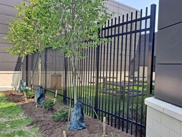 Ameristar with security mesh