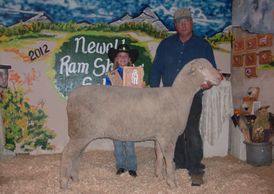  Anderson  Family has been raising Rambouillet sheep for over 35 years.  A dual  purpose breed focus