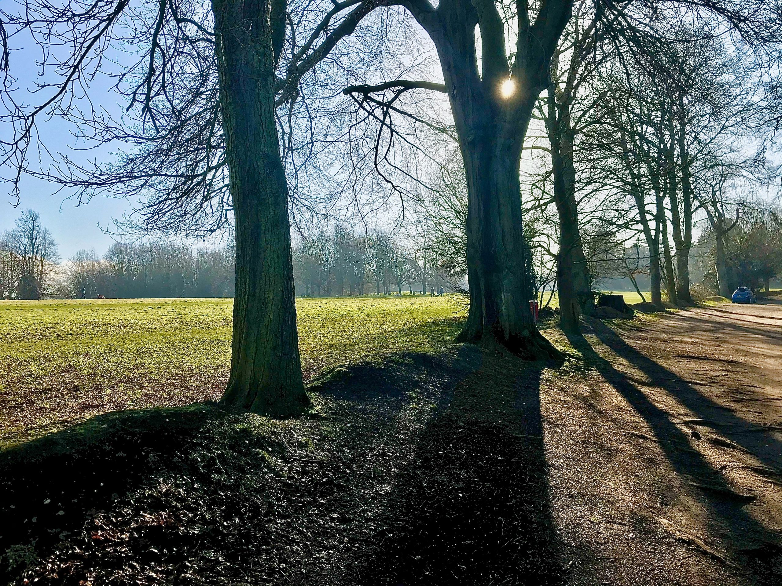 Frosty morning in January