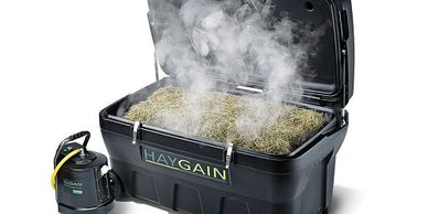 Haygain Steamer