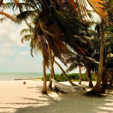 Hammock tied between palm trees on a sandy beach.