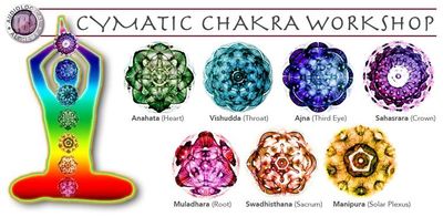 Cymatic Chakra Workshop