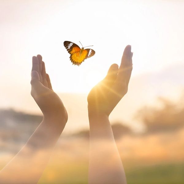 girl-frees-butterfly-from-moment-concept-freedom