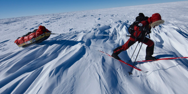 A skier pulls a sled across snowy, wind-sculpted terrain under clear blue skies.