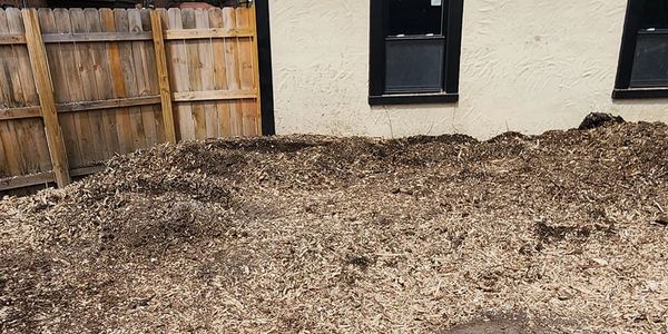 After stump grinding services. Completed by Motor City Stump Grinding.